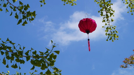 Hanging colorful asian traditional paper lantern 