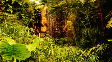 Wasserfall im tropischen Regenwald