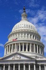 Obraz premium American landmark