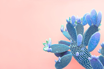 Cactus néon vert tropical à la mode sur fond de couleur corail. Concept d& 39 art minimal de la mode. Style créatif. Ambiance à la mode colorée de cactus