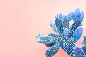 Türaufkleber Blumen und Pflanzen Trendy tropischer grüner Neonkaktus auf korallenrotem Farbhintergrund. Mode-Minimal-Art-Konzept. Kreativer Stil. Kakteen bunt modische Stimmung