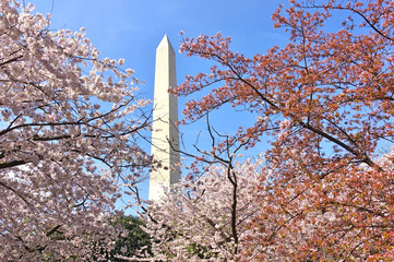 WASHINGTON, DC -6 APRIL 2019- View of the Washington Monument, a landmark obelisk, during the...