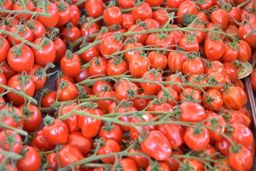Delicious red organic cherry tomatoes at the farmers market, selective focus. Fresh juicy bio cherry tomato at the marketplace. Organic vegetables for healthy eating. Vegetarian food. Red tomatoes 