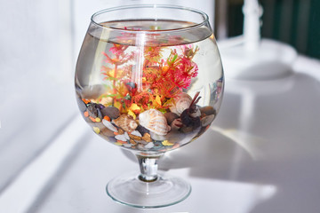 Fish swims in the original fish tank. Aquarium in the form of wine glass. Fishbowl with water on a thin leg with a stand stands on the table.