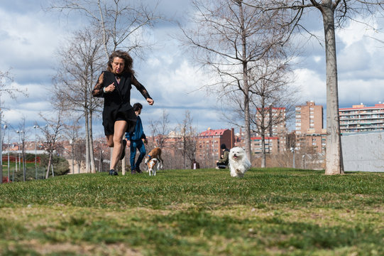 50 Year Old Woman Walks, Exercises And Enjoys Her Bichon Dogs.