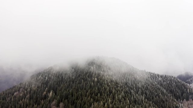 Snowy pine woods mount peak aerial in cloudy bad weather.Foggy mountain forest with ice frost covered trees in Winter drone flight establisher.