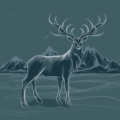 A deer stands in the mountains
