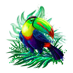 bright tropical bird toucan sits in foliage