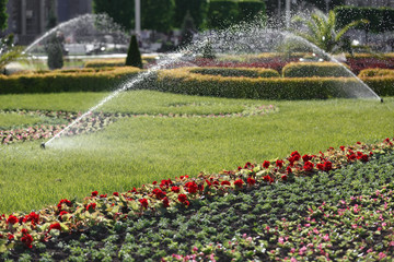 automatic watering of lawns in the city