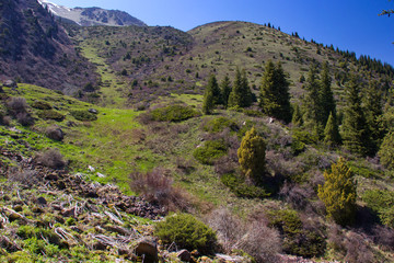 Naklejka na ściany i meble Mountain landscapes of Kyrgyzstan. Spring in the mountains.