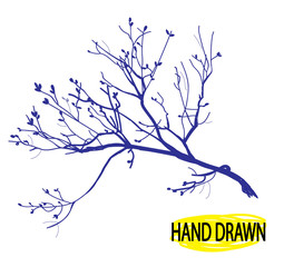 Dry branch. Tree branch without leaves. Drawing by hand in vintage style, drawing pen.