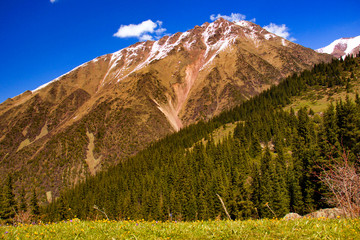 Mountain landscapes of Kyrgyzstan. Spring in the mountains.