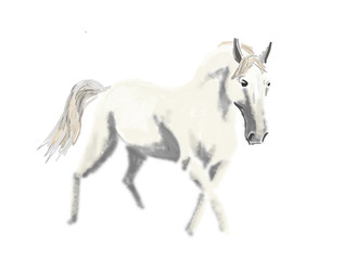 Naklejka na ściany i meble White horse