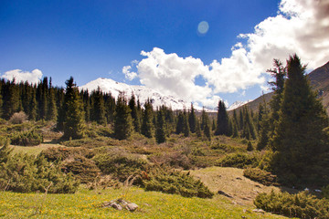 Mountain landscapes of Kyrgyzstan. Spring in the mountains.