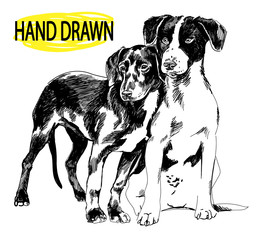 Two puppies. Drawing by hand in vintage style. Children's drawing. Dog spotted young.