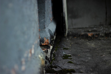 Corner