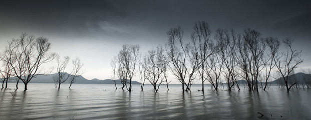 Panoramic mystic forest lake and dark storm clouds.