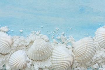 sea shells and sand on blue background