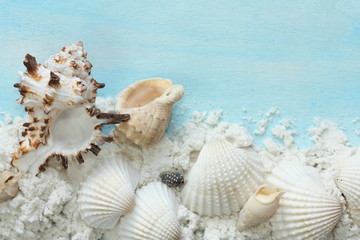 Fototapeta na wymiar seashells and sand on a blue background