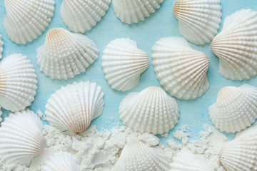Seashells and sand on blue background