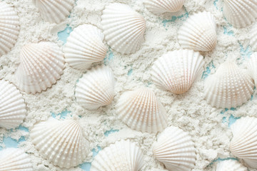 Seashells and sand on a blue background. Summer time concept.
