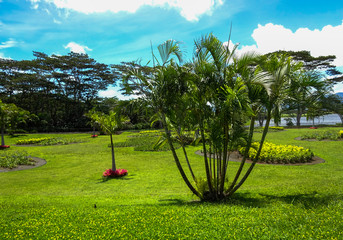 Dole plantanation, holiday on Hawaii, nice view, beatiful scene of nature. 