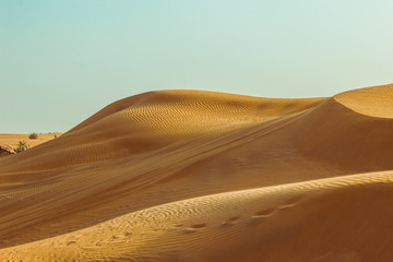 Fototapeta na wymiar Sand dunes of the desert close up. Dubai 2019.