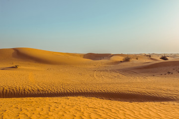 Fototapeta na wymiar Sand dunes of the desert close up. Dubai 2019.