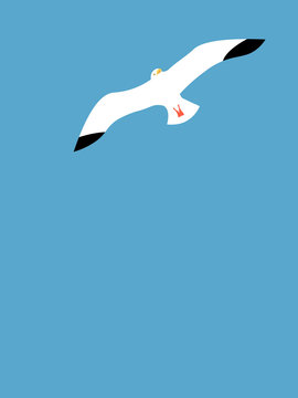 Seagull background on a blue sky