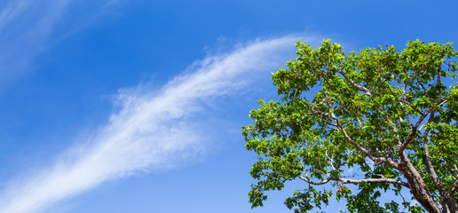 Ripple clouds and light blue sky on sunny summer.