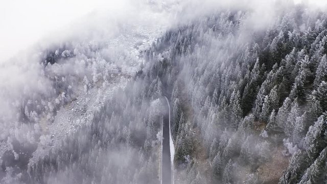 Road near snowy pine woods backward aerial in cloudy bad weather.Foggy mountain forest with ice frost covered trees in Winter drone flight establisher.