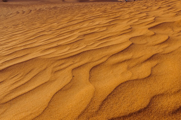 Sand dunes of the desert close up. Dubai 2019