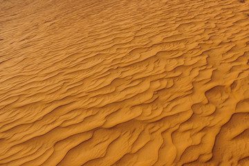 Sand dunes of the desert close up. Dubai 2019