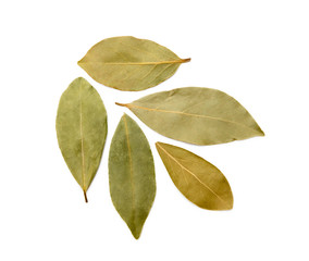  Dried bay leaf isolated on white background 