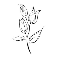 three stylized flower buds on stem with leaves black lines on white background