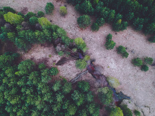 River in the forest from the height of the quadcopter in the spring