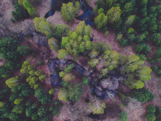 River in the forest from the height of the quadcopter in the spring