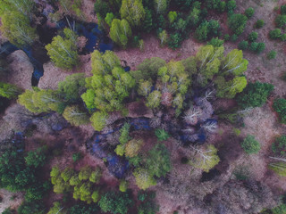 River in the forest from the height of the quadcopter in the spring