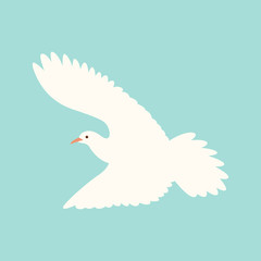 white dove.vector illustration, flat style