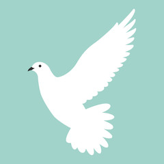 white dove.vector illustration, flat style ,profile