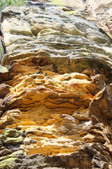 eroded rock in the forest