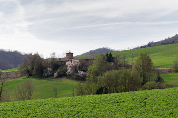 Fototapeta na wymiar Farm house on the Bolognese hills