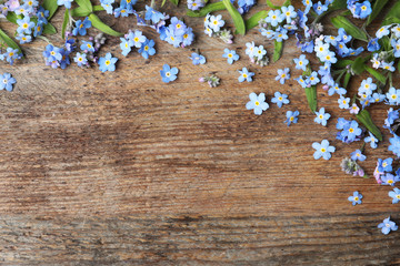 Beautiful forget-me-not flowers and space for text on wooden background, flat lay