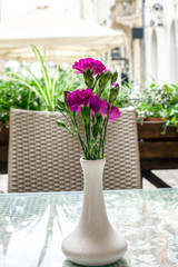 Pink carnations in white ceramic vase on table