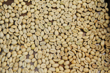 Raw unroasted green coffee beans. Top view texture