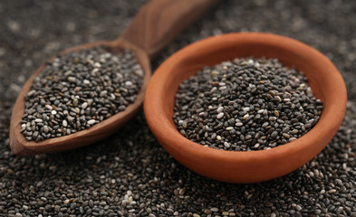 Organic Chia Seed, super food