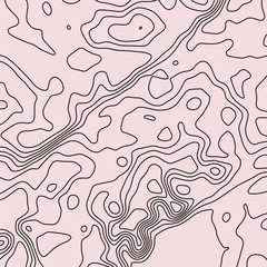 Topographic map lines background. Abstract vector illustration. Contour vector map.