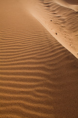 Sand dunes -  Desertification of Feuerteventura Island, near the village Cofete.
