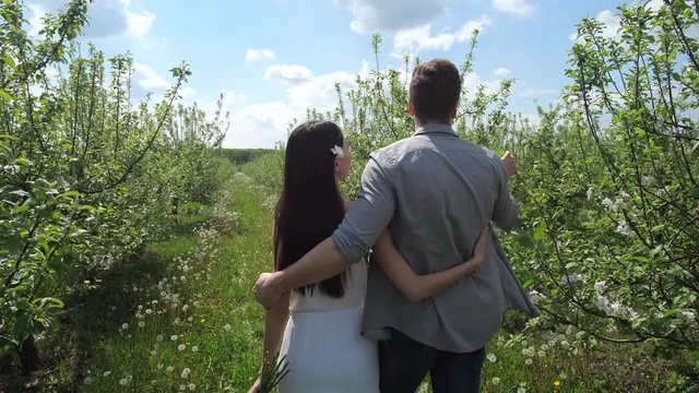 Rear view of bride and groom strolling on day of their engagement among flowering fruit trees. Romantic mixed race couple in love walking hugging each other in spring blooming apple orchard