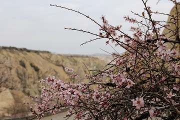 Landscapes of Cappadocia valleys with tuff towers, Turkey
